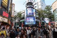 上半年來台旅客429萬人次　觀光署：整體穩健成長
