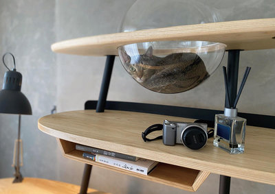 樹德科大生設計人貓共融書桌 獲獎申請專利