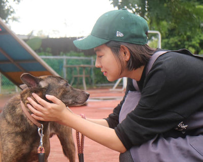 毛孩是家人 米可白用愛關懷流浪貓狗