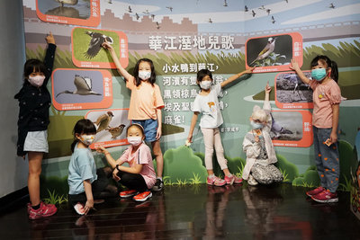 北市鄉土教育中心辦展  解密華江濕地前世今生