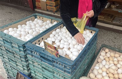 蛋價每台斤漲3元　天冷供給少、火鍋店需求大