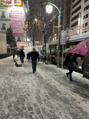 東京大雪警報各地積雪 降雪隔天學企鵝走路更安全