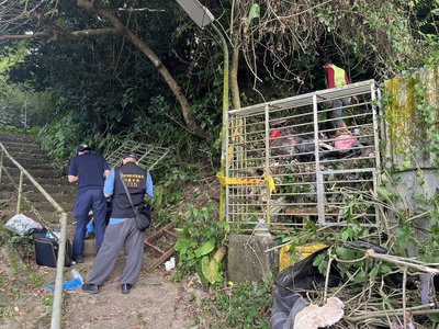 信義區山坡地發現人頭骨 北市警又搜出腿骨、背包