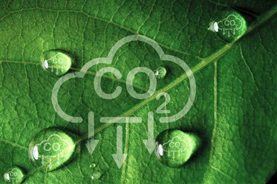 環部：發展智慧電網及儲能 盼實現綠色生產消費