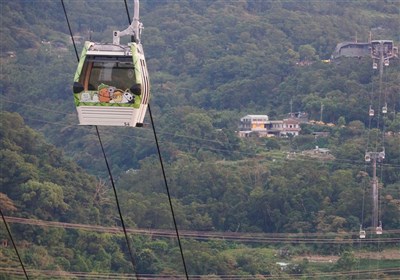 貓空纜車系統異常暫停營運　啟動公車接駁