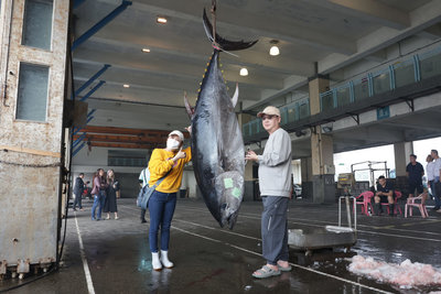 「全國第一鮪」在宜蘭蘇澳 4/10上午拍賣