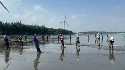 傳統漁撈「牽罟」擬登錄文化資產 苗縣將辦說明會