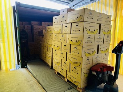 高雄香蕉搶攻外銷市場 每週穩定供貨新加坡