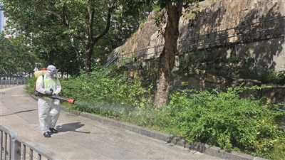 香港出現首名屈公病本土病例 8000住戶有感染風險