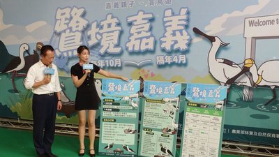 千隻黑面琵鷺現身 「鷺境嘉義」親子賞鳥季將登場