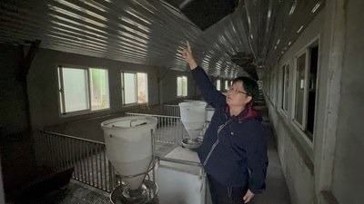 農場晃晃第三代接手 斥資千萬改建傳統豬舍創造多贏