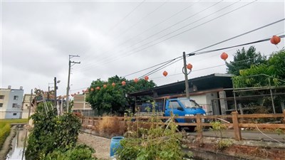 化製三聯單疑塗改憂私宰流入市面 中市稽查均合規