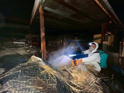 台中非洲豬瘟場2度清消仍檢出陽性 雜物未移除、污泥最厚10公分