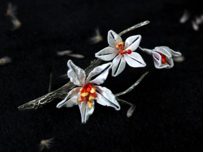 林玟萱APEC柔性外交 備桐花銀別針贈領袖配偶