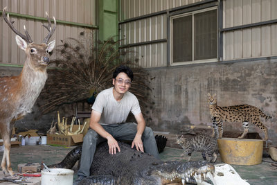 標本製作留住靈光 文總「匠人魂」揭標本師職業面紗