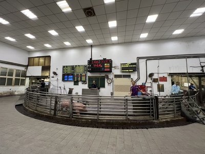 台中大安肉品市場成交629頭豬 8日早市可買溫體肉