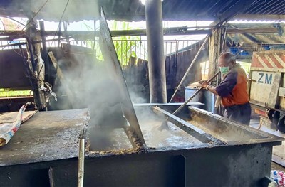 環部籲業者設蒸煮監視系統　可恢復廚餘養豬