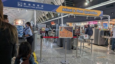 防檢署:動植物檢疫物入境檢疫 不因用途數量豁免