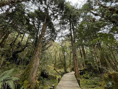 颱風鳳凰逼近 宜蘭太平山10日下午起預警休園