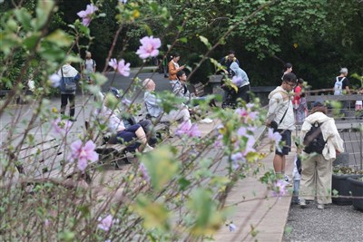 各地多雲到晴下午起東北季風增強　中南部可達33度