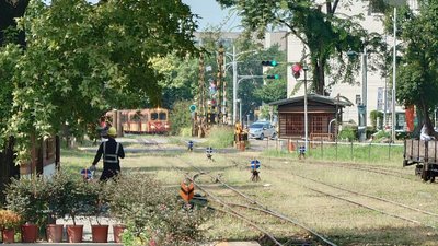 颱風來襲  阿里山林鐵11日上山及12、13日全線停駛