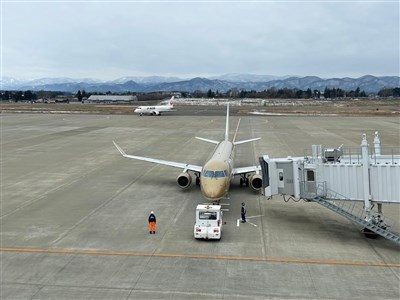 日本花卷機場停機坪有熊現蹤　跑道一度關閉