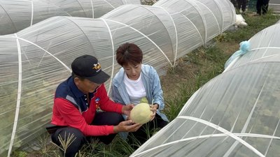 陳亭妃：鳳凰來襲守台南　幕僚代完成市長初選登記