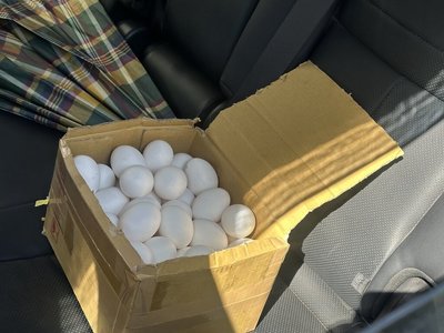 文雅畜牧場芬普尼蛋流出 彰縣:檢方同意後全予銷毀