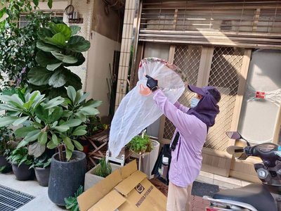 台南第17例登革熱境外移入 菲律賓男越南探親發病