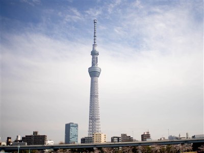 中國赴日機票爆大規模取消潮 累積突破49萬張