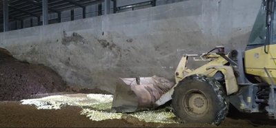 彰化文雅畜牧場驗出芬普尼超標 場內25萬顆雞蛋銷毀