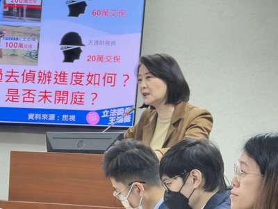 王鴻薇指經濟部失職　空殼公司來台洗錢買豪宅