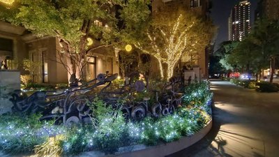 打造年節氛圍  中市府開放市區行道樹免費懸掛燈飾