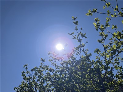 東北季風減弱白天氣溫回升　西半部日夜溫差大