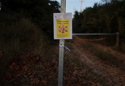 西班牙動員軍隊防非洲豬瘟　疑野豬吃受污染食物引發