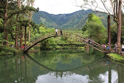 溪頭門票115年元旦起漲價　幅度最高達5成