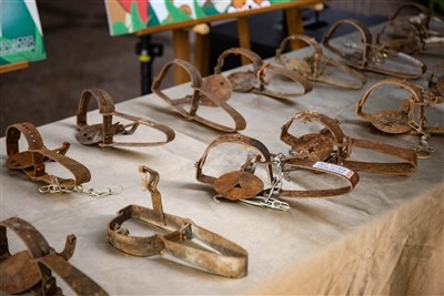 台南農夫設獸鋏誤傷流浪犬挨罰 打行政訴訟仍敗訴