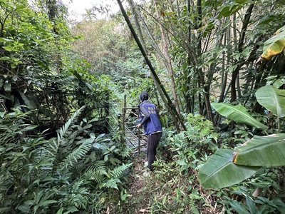 新店五重溪染綠山區追污染源　議員籲善用科技輔助