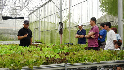 百貨主管變農夫　黃禹靖將台灣蔬菜推上菲律賓餐桌