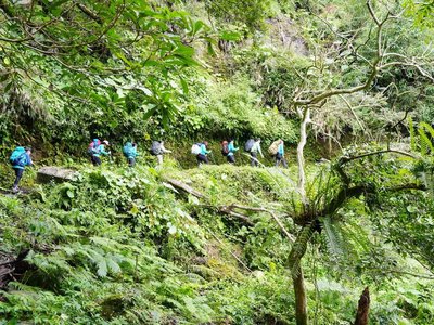 玉山營隊將帶學生訪「有熊國」 學習敬畏態度入山