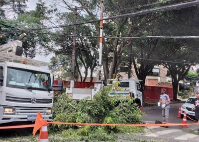 聖保羅強風暴雨釀大停電航班混亂　專家示警危機未解