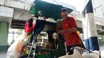 1人6狗三輪車組成一個家 馬尼拉街友因愛心走紅