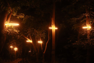 台南龍崎光節空山祭 14組作品妝點冬夜山林