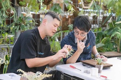 高雄跨局處助攻　青創園藝品牌登亞洲水族園藝展