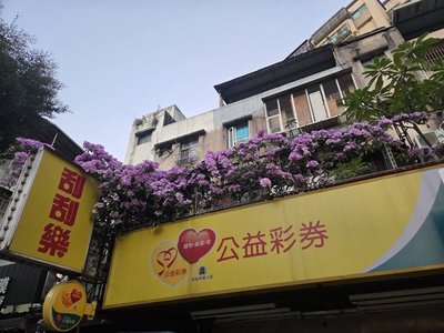 歷經燒燙傷喪母困境　林佩姍重啟彩券行獲台彩表揚