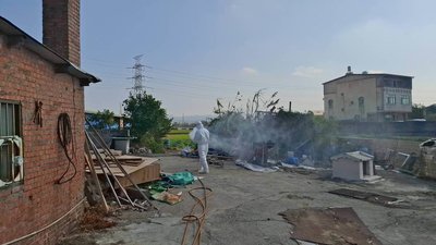 中市府查獲違規廚餘養豬 最高可罰400萬元