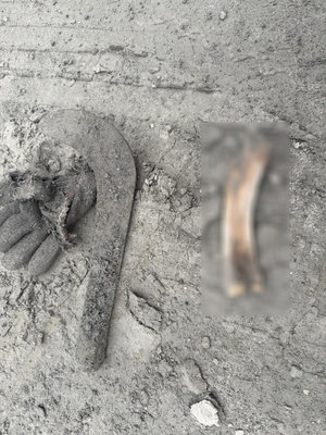 光復災區尋獲失聯夫妻衣物及骨骸 鑑定非人骨