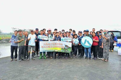 嘉義九芎埤移除外來魚種　打造水雉安心育嬰房