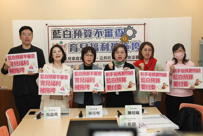綠委民團憂115年總預算未審 將衝擊生育補助政策