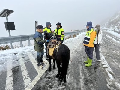 武嶺騎馬上山追雪 民眾涉違道交條例先遭警開罰單